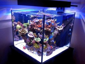 Светильники для аквариумов